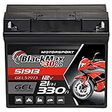 BlackMax G19 51913 Motorradbatterie GEL 12V 21Ah Batterie 519013017 ABS 19Ah
